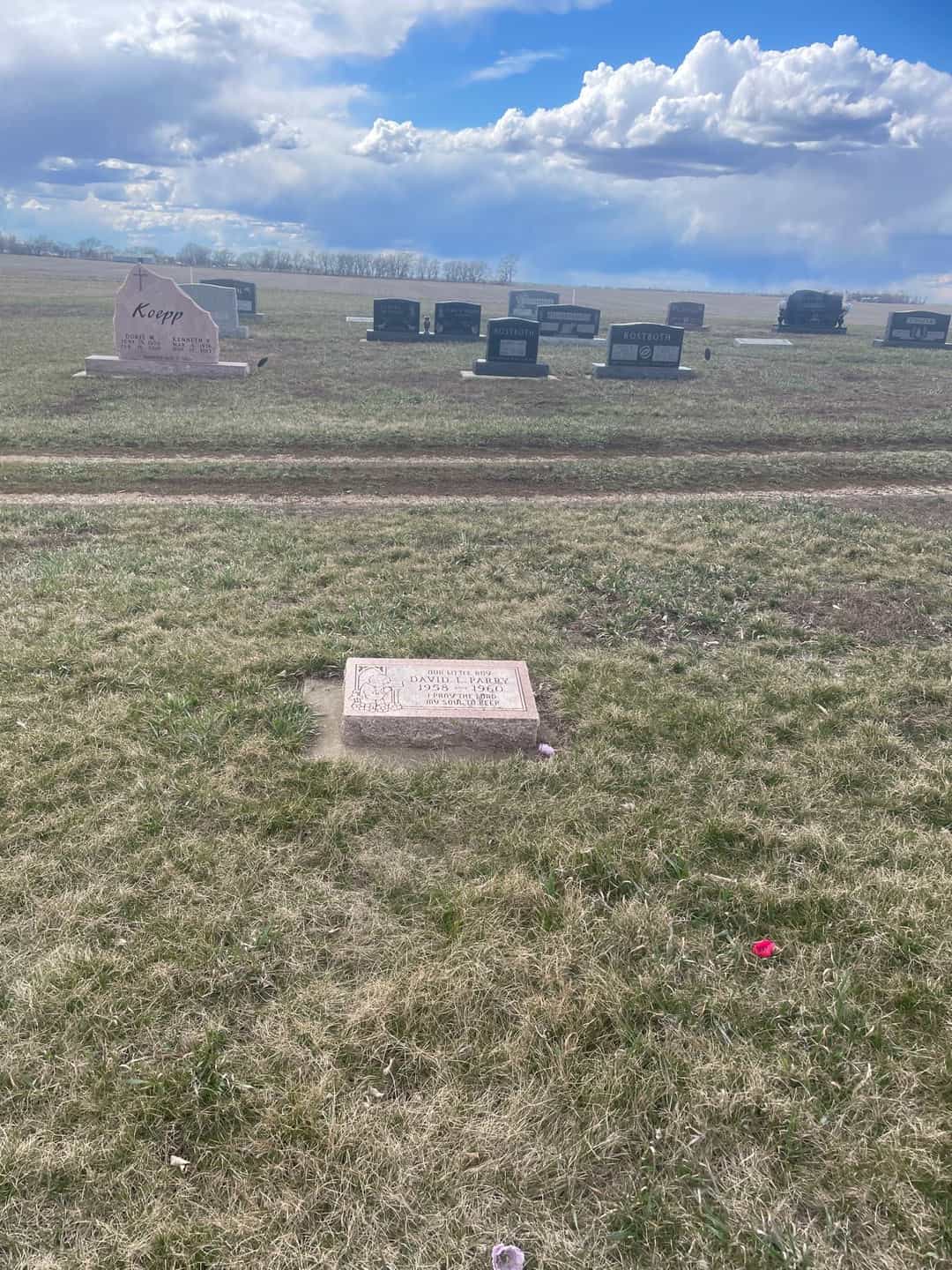 Joy A. Parry's grave. Photo 2