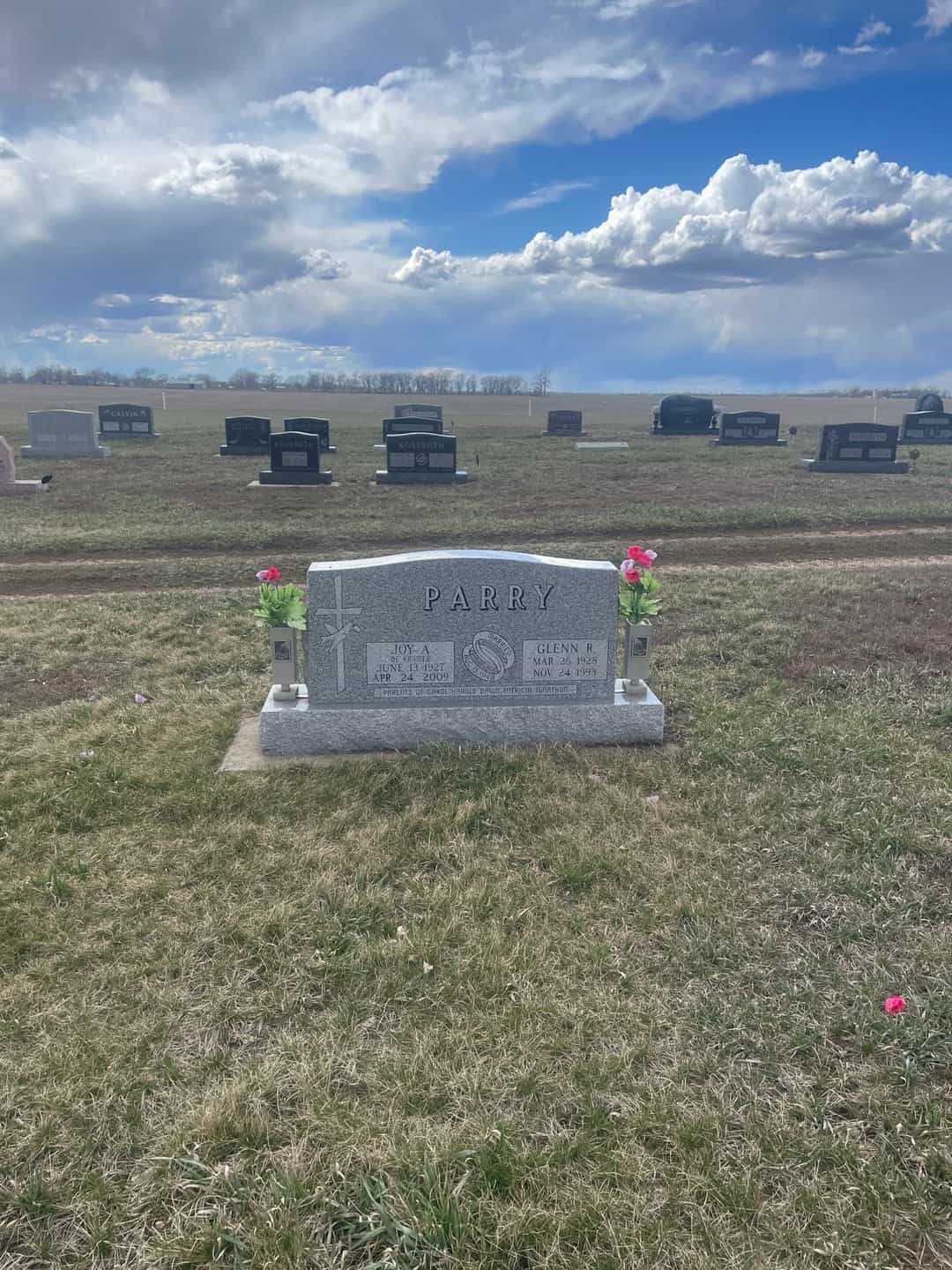 Joy A. Parry's grave. Photo 4