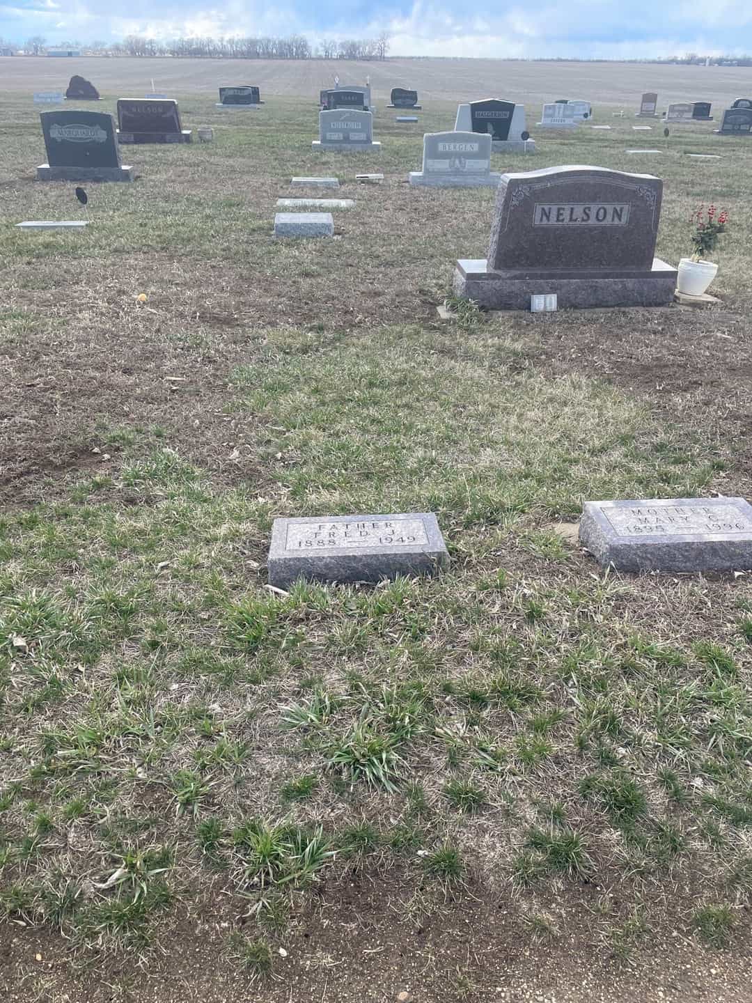Fred J. Nelson's grave. Photo 2