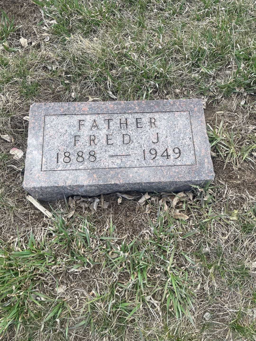 Fred J. Nelson's grave. Photo 3