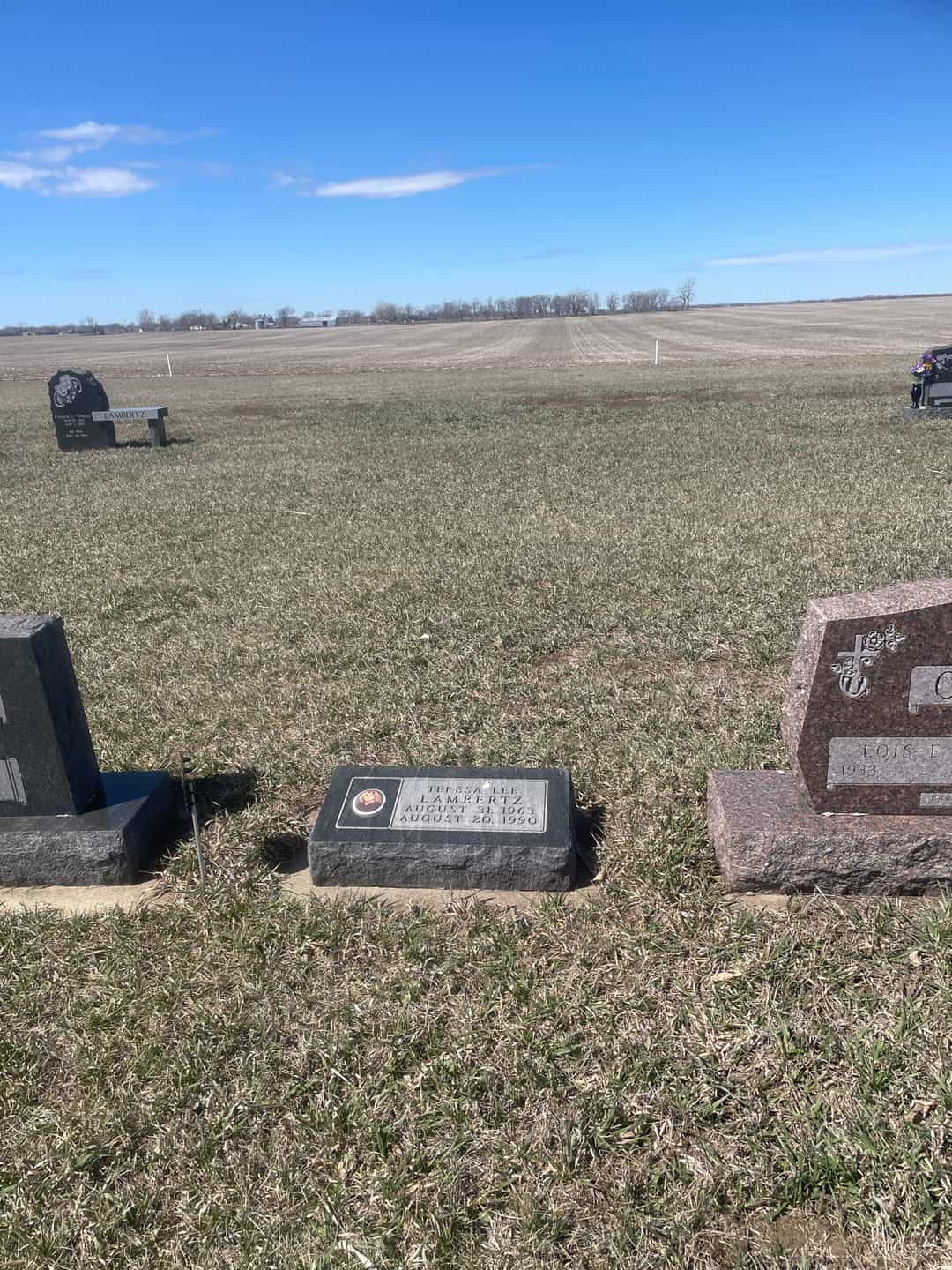 Teresa Lee Lambertz's grave. Photo 2