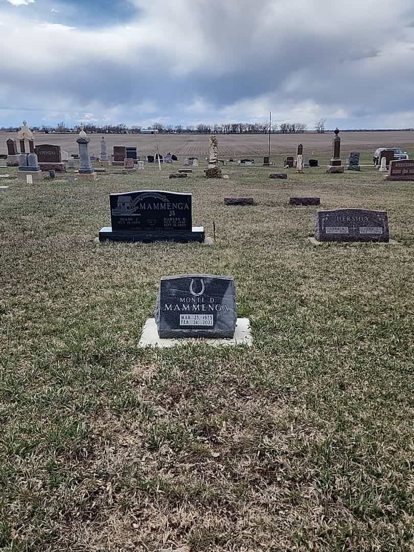 Monte D. Mammenga's grave. Photo 4
