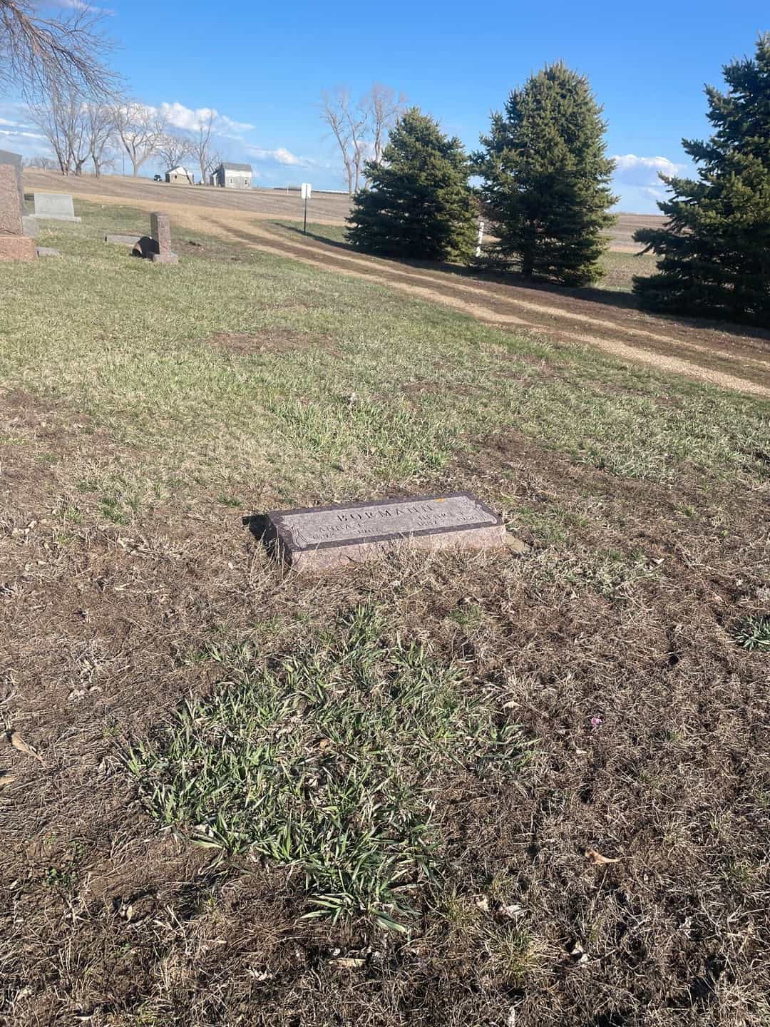 Anna Caroline Lilli Nelson Bormann's grave. Photo 2
