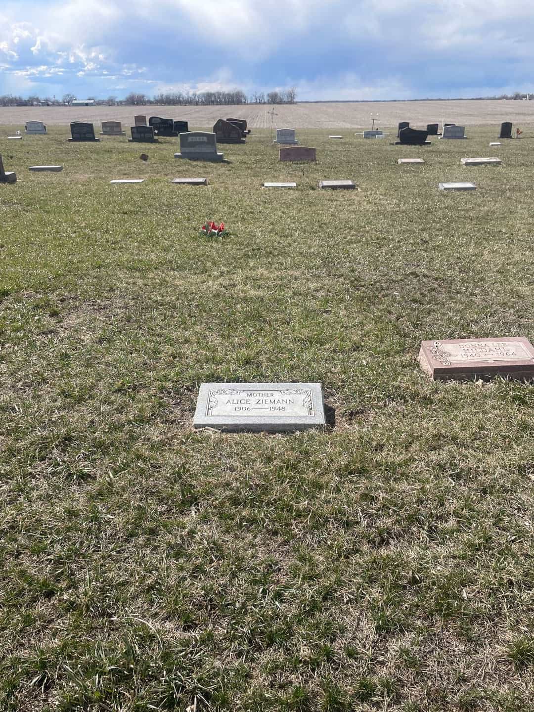 Alice Ziemann's grave. Photo 2