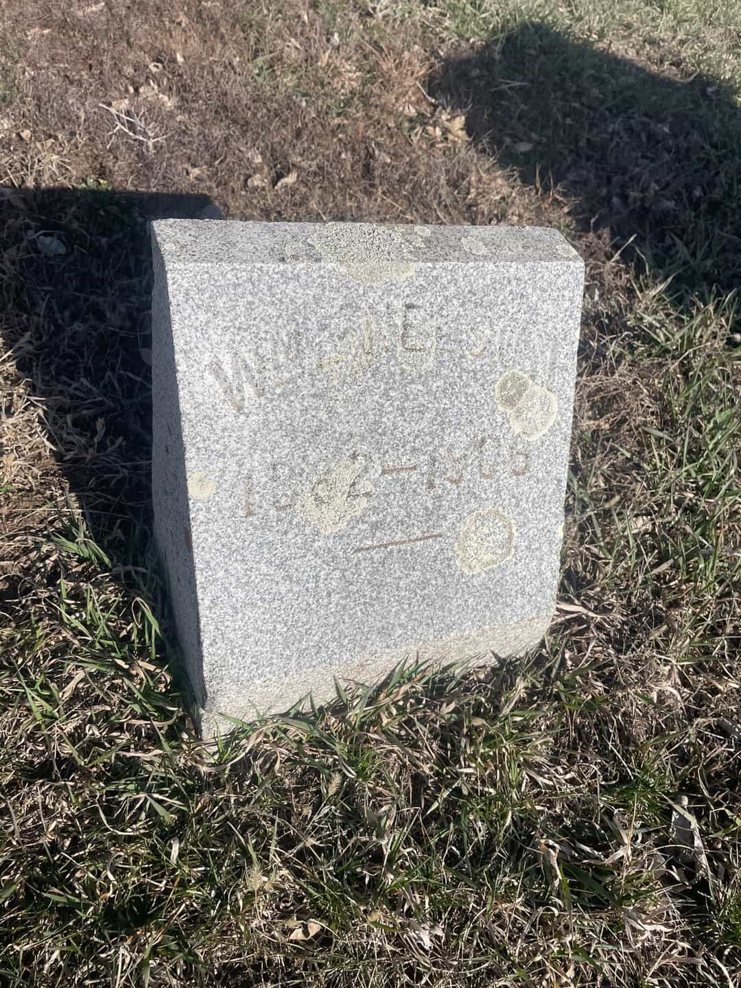 William Nelson's grave. Photo 3