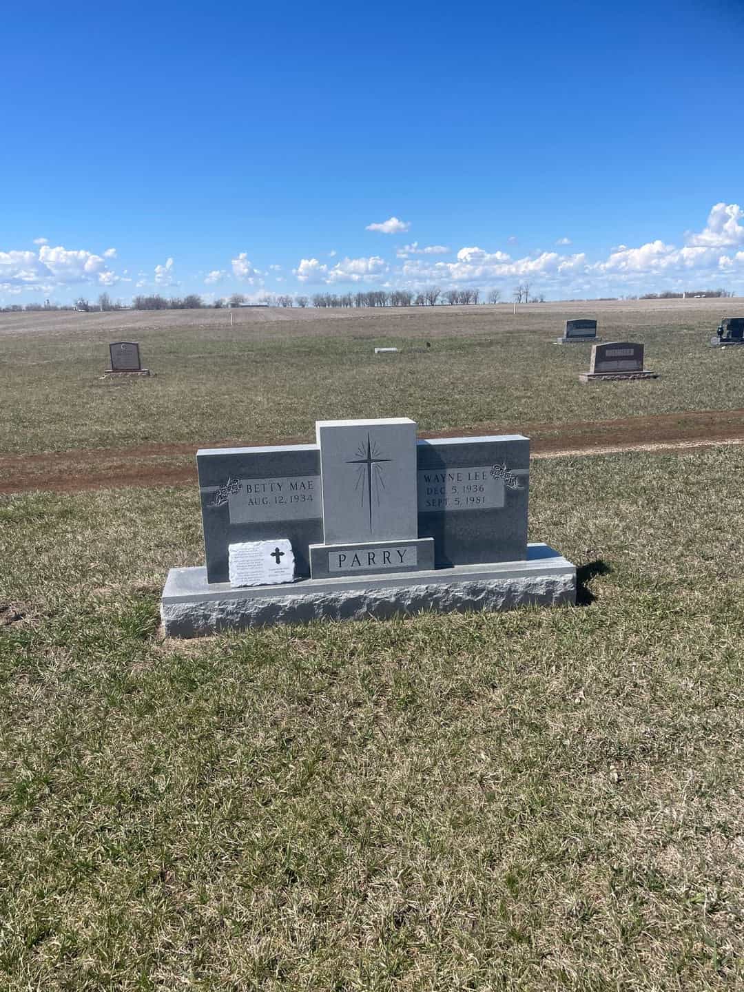 Wayne Lee Parry's grave. Photo 2
