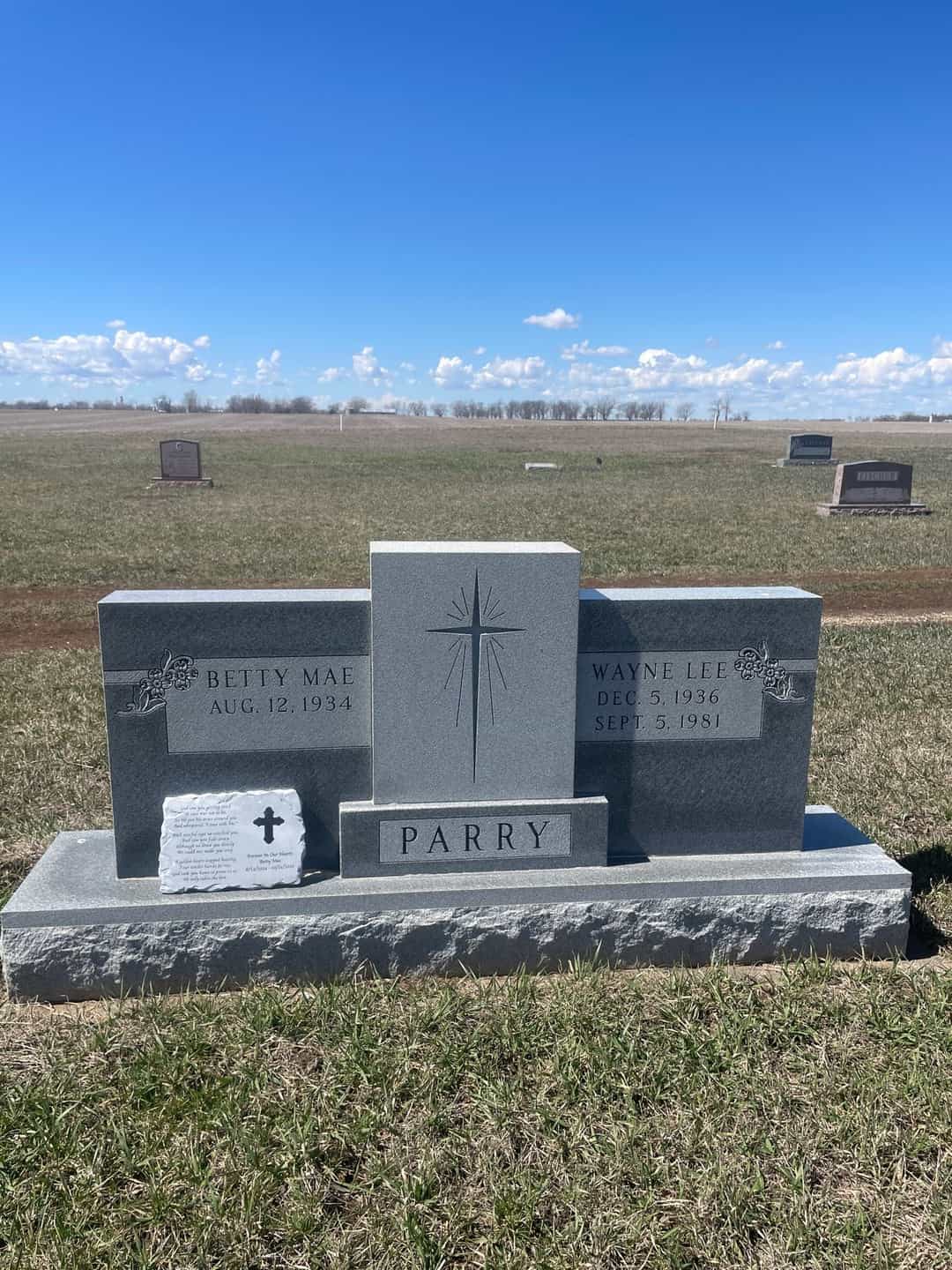 Wayne Lee Parry's grave. Photo 1