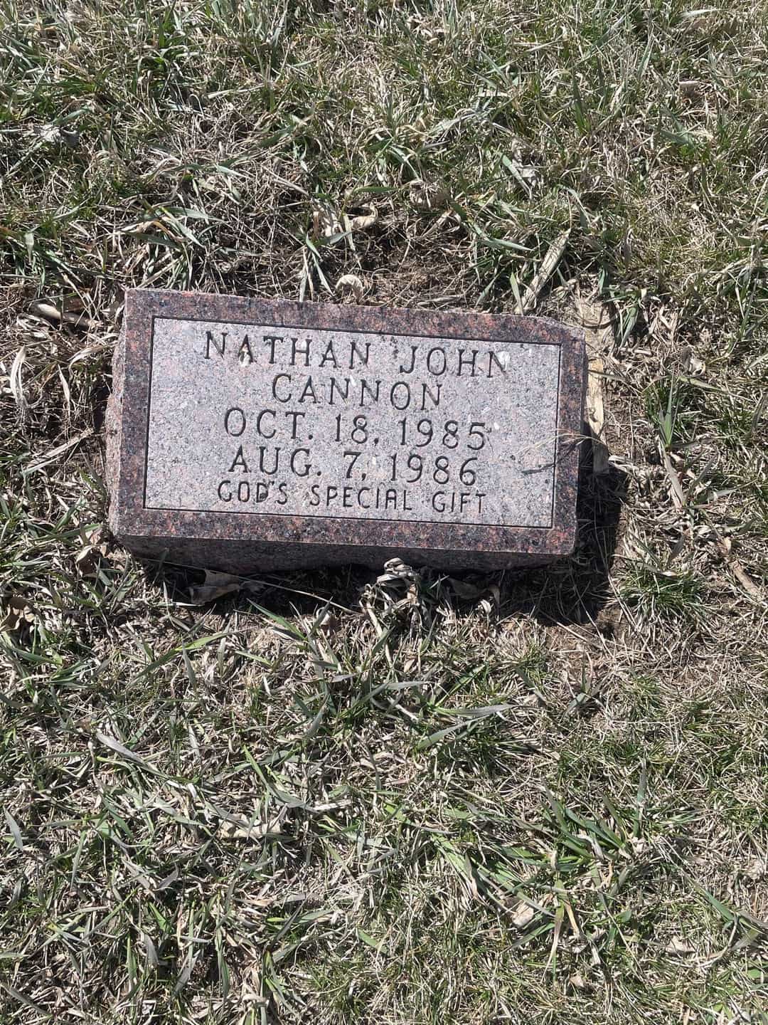 Gerald D. "Jerry" Cannon's grave. Photo 4