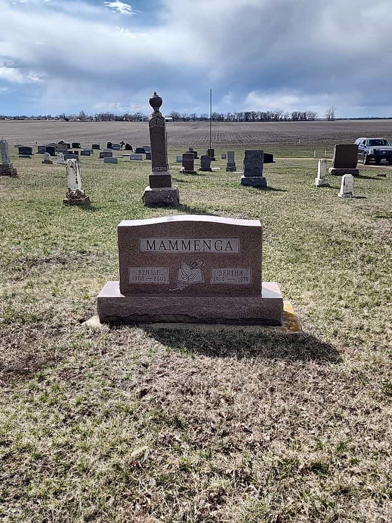 Benjamin F. Mammenga's grave. Photo 2