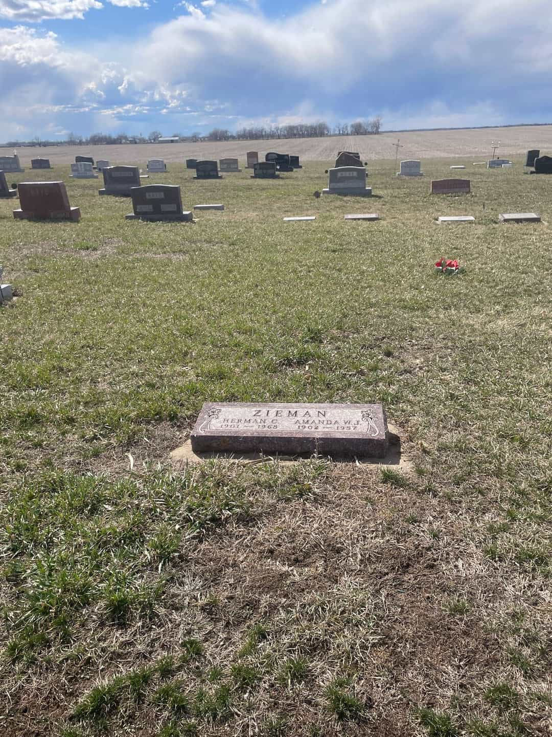 Herman C. Zieman's grave. Photo 2