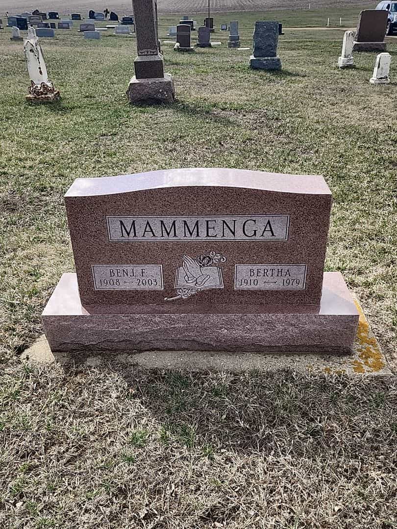 Benjamin F. Mammenga's grave. Photo 1