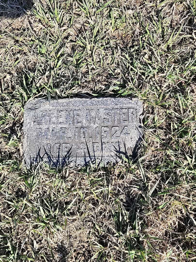 Arlene Kaster's grave. Photo 3