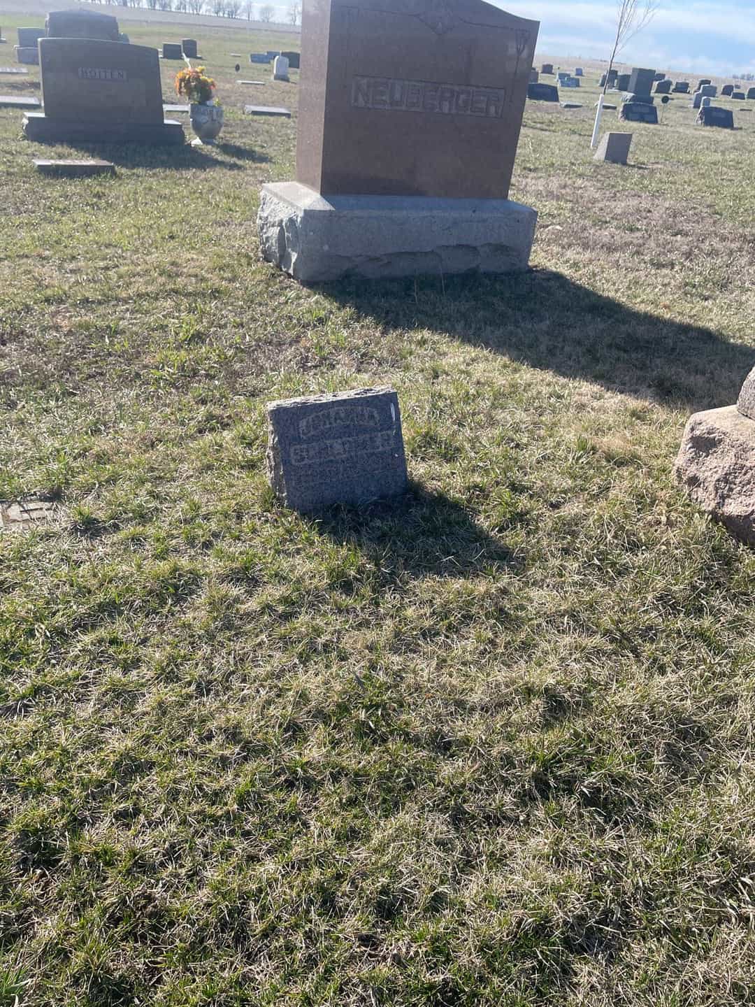 Johanna Schlomer's grave. Photo 2