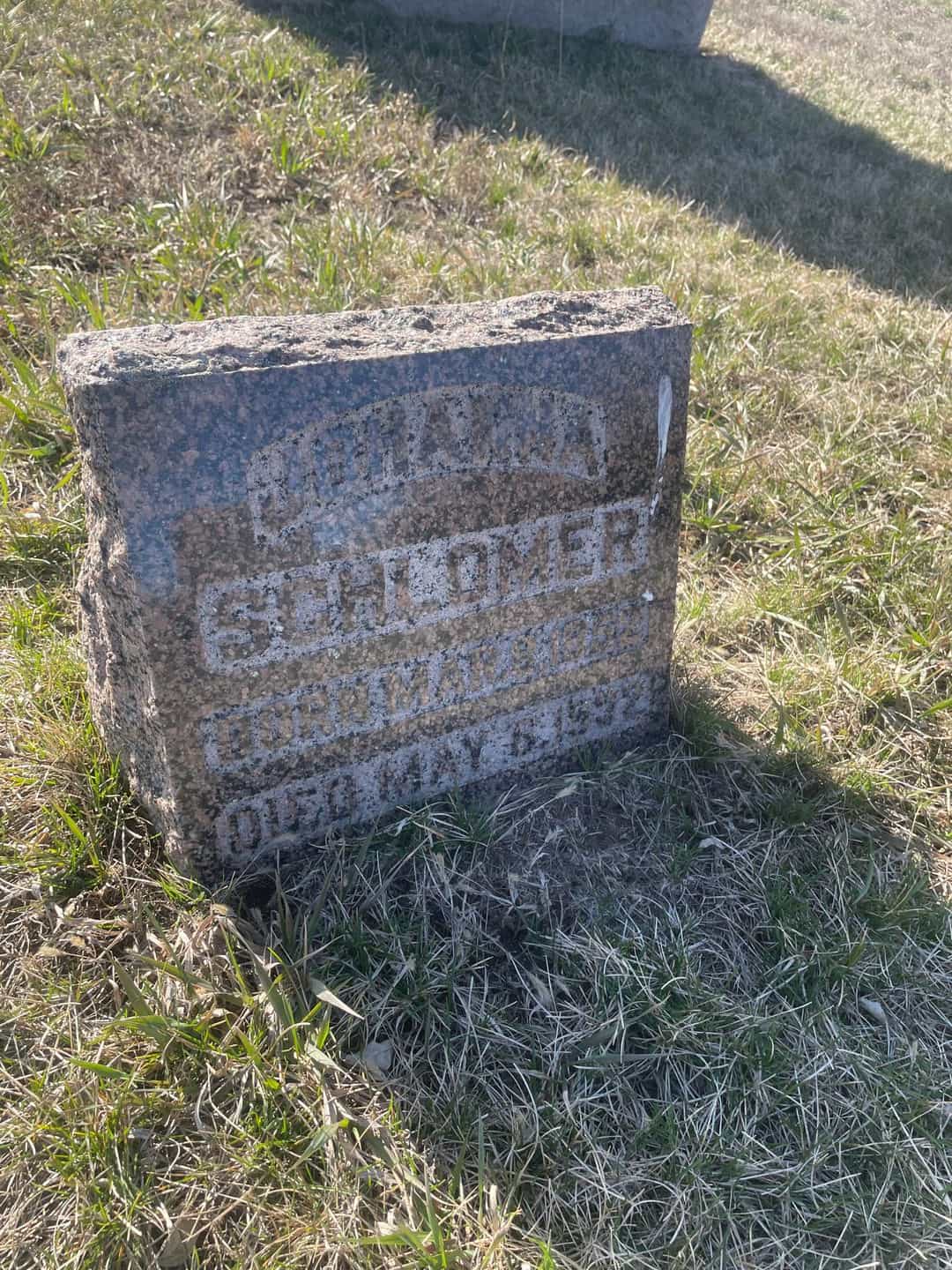 Johanna Schlomer's grave. Photo 3