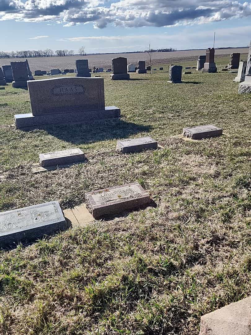 Henry Haas's grave. Photo 4