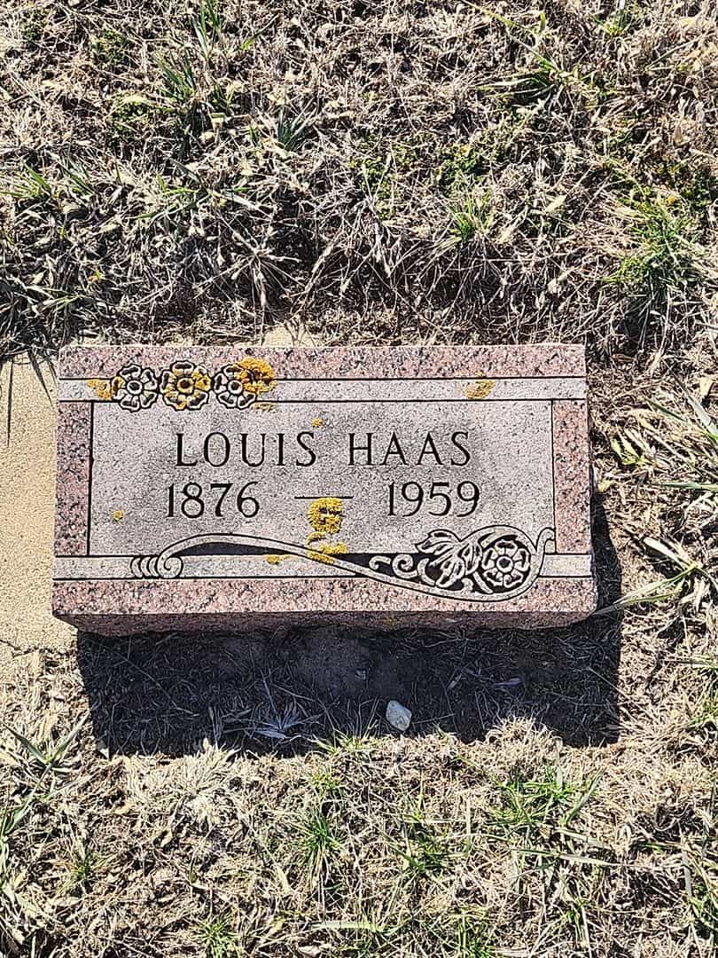 Henry Haas's grave. Photo 5