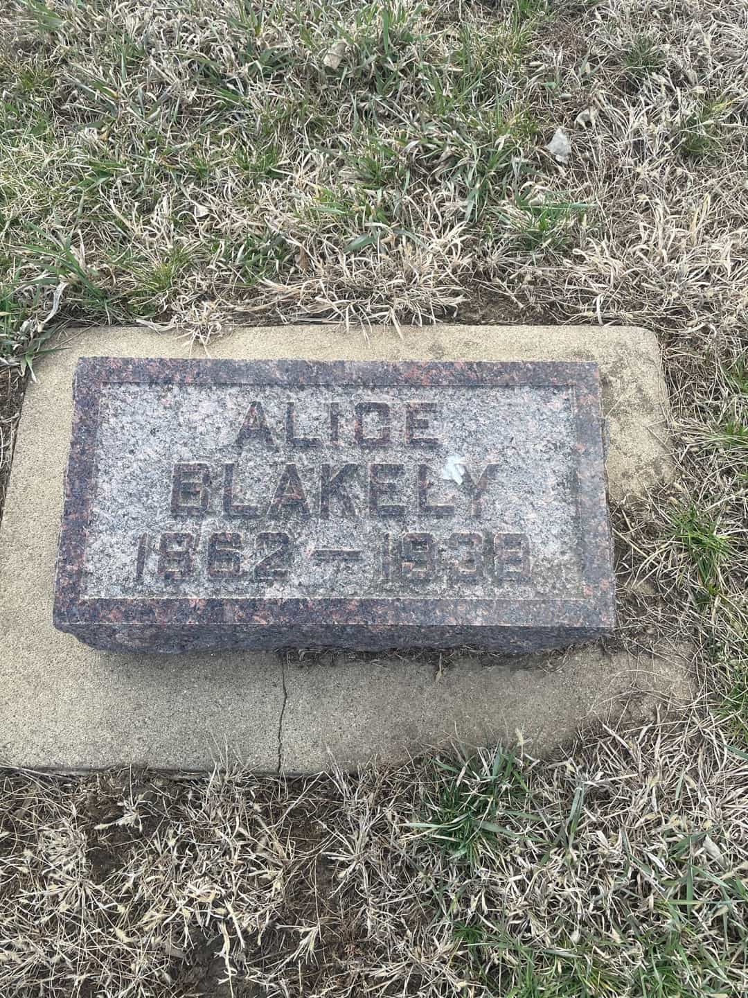 Alice Walsh Blakely's grave. Photo 3